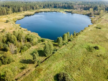 drone görüntü. alanları ve Orman Gölü ile kırsal alan hava görünümünü. güneşli bir günde Letonya