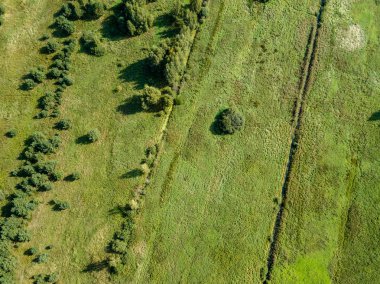 drone görüntü. alanlar ve yalnız ağaçlar ile kırsal alan hava görünümünü. dokulu arka plan, Letonya güneşli bir günde