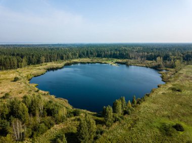 drone görüntü. alanları ve Orman Gölü ile kırsal alan hava görünümünü. güneşli bir günde Letonya