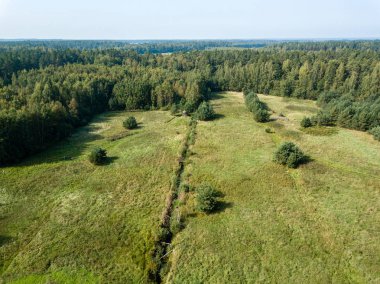 drone görüntü. alanları ve ormanları ile kırsal alan hava görünümünü. dokulu arka plan. Letonya güneşli sonbahar günü