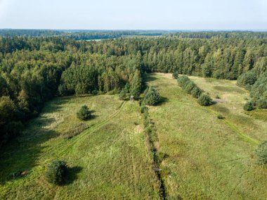 drone görüntü. alanları ve ormanları ile kırsal alan hava görünümünü. dokulu arka plan. Letonya güneşli sonbahar günü