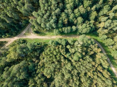 drone görüntü. kırsal çakıl yol yeşil orman ve ağaçları ile yukarıdan gölgelerde güneşli yaz günü hava görünümünü. Letonya