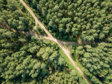 drone görüntü. kırsal çakıl yol yeşil orman ve ağaçları ile yukarıdan gölgelerde güneşli yaz günü hava görünümünü. Letonya