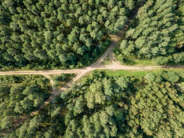 drone görüntü. kırsal çakıl yol yeşil orman ve ağaçları ile yukarıdan gölgelerde güneşli yaz günü hava görünümünü. Letonya