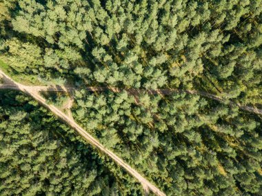 drone görüntü. kırsal çakıl yol yeşil orman ve ağaçları ile yukarıdan gölgelerde güneşli yaz günü hava görünümünü. Letonya