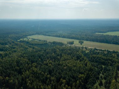 drone görüntü. alanları ve ormanları ile kırsal alan hava görünümünü. dokulu arka plan. Letonya güneşli sonbahar günü