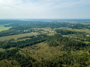 drone görüntü. alanları ve ormanları ile kırsal alan hava görünümünü. dokulu arka plan. Letonya güneşli sonbahar günü