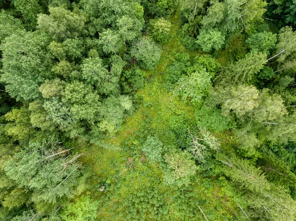 Imagem Drone Vista Aérea Zona Rural Com Campos Florestas Fundo — Fotografia de Stock