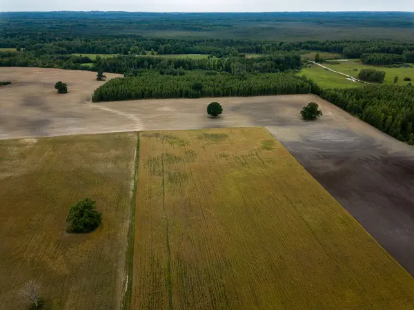 drone image. aerial view of rural area with fields and forests under dramatic storm clouds forming. summer day in latvia