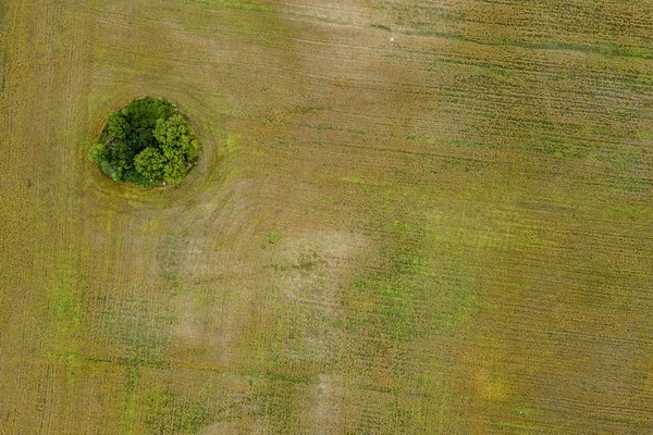 Afbeelding Van Drone Luchtfoto Van Landelijke Omgeving Met Akkers Eenzame — Stockfoto