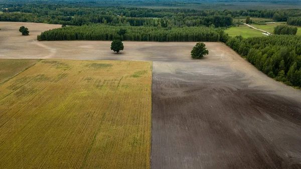 Immagine Del Drone Vista Aerea Della Zona Rurale Con Campi — Foto Stock