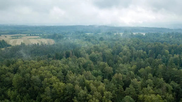 drone image. aerial view of rural area with fields and forests. textured background. sunny autumn day in latvia