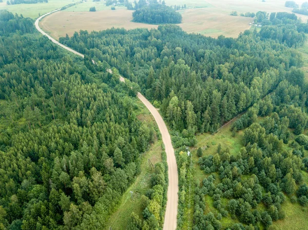 Drone Image Aerial View Rural Gravel Road Green Forest Trees — Stock Photo, Image