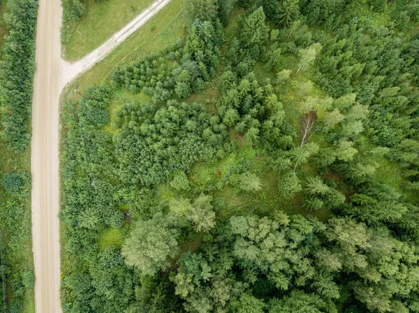 drone image. aerial view of rural gravel road in green forest and trees with shadows from above in sunny summer day. latvia