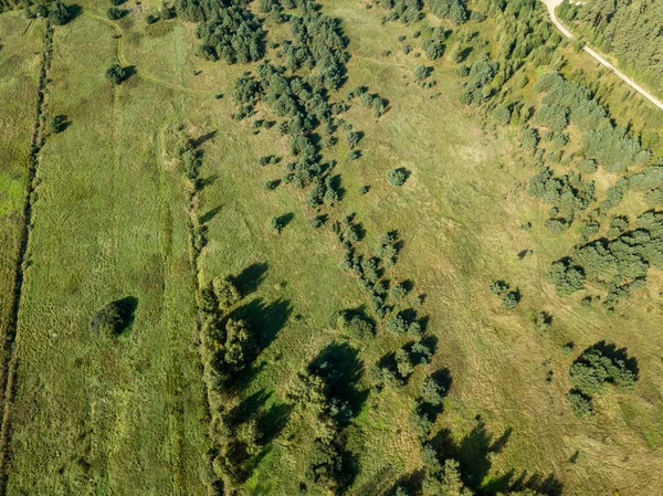 Κηφήνας Εικόνα Αεροφωτογραφία Της Αγροτικής Περιοχής Πεδία Και Μοναχικά Δέντρα — Φωτογραφία Αρχείου