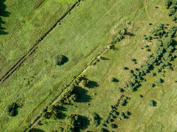 Drohnenbild Luftaufnahme Einer Ländlichen Gegend Mit Feldern Und Einsamen Bäumen — Stockfoto