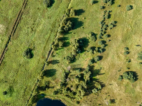 Κηφήνας Εικόνα Αεροφωτογραφία Της Αγροτικής Περιοχής Πεδία Και Μοναχικά Δέντρα — Φωτογραφία Αρχείου