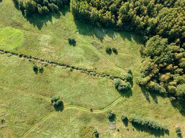 drone görüntü. alanlar ve yalnız ağaçlar ile kırsal alan hava görünümünü. dokulu arka plan, Letonya güneşli bir günde