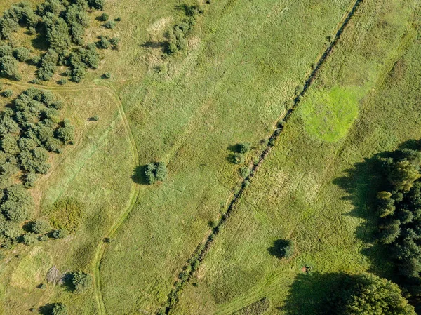 Drony Obrázek Letecký Pohled Venkovské Oblasti Poli Osamělé Stromy Texturou — Stock fotografie