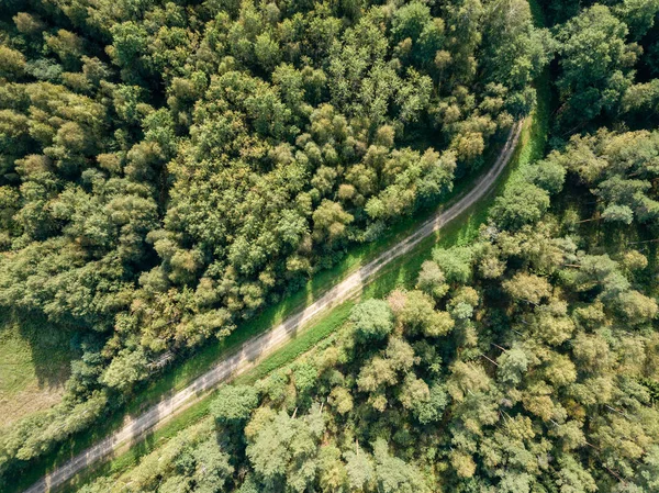 drone image. aerial view of rural gravel road in green forest and trees with shadows from above in sunny summer day. latvia