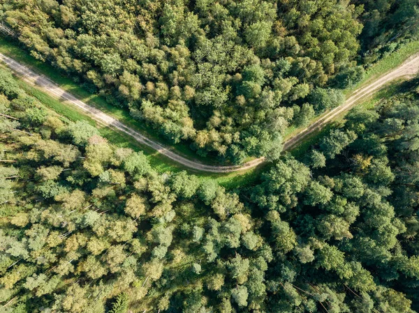 drone image. aerial view of rural gravel road in green forest and trees with shadows from above in sunny summer day. latvia