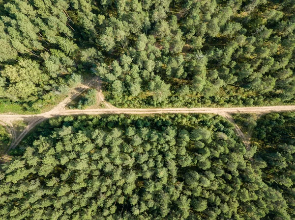 drone görüntü. kırsal çakıl yol yeşil orman ve ağaçları ile yukarıdan gölgelerde güneşli yaz günü hava görünümünü. Letonya