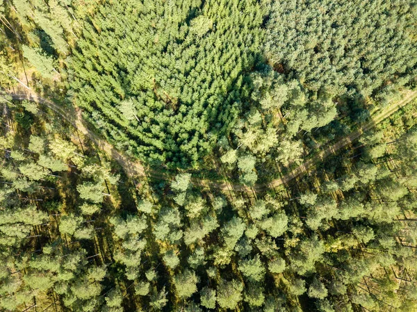 Immagine Del Drone Vista Aerea Della Zona Rurale Con Campi — Foto Stock