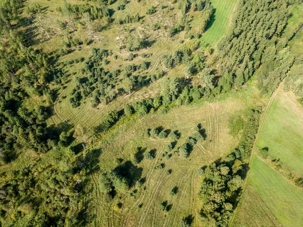 Drony Obrázek Letecký Pohled Venkovské Oblasti Poli Osamělé Stromy Texturou — Stock fotografie