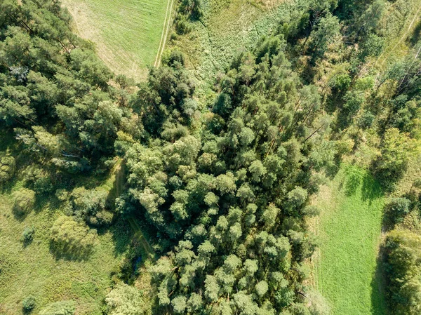 Imagem Drone Vista Aérea Zona Rural Com Campos Florestas Fundo — Fotografia de Stock