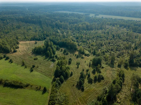 Drone Bild Flygfoto Över Landsbygden Med Fält Och Ensamma Träd — Stockfoto