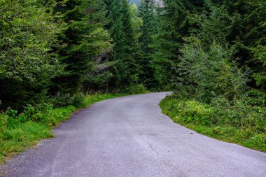Yaz aylarında köy çakıl yol olarak kırsal orman ağaçları saran ve bulutlar gökyüzünde