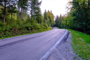 Orman dağlarında kadar önde gelen Asfaltlı yol. Slovakya, dalgalı çizgiler ve perspektif yaz saati