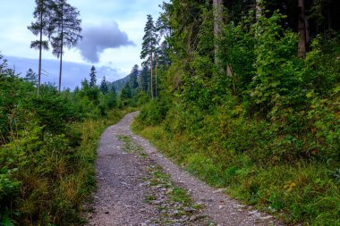 Yaz aylarında köy çakıl yol olarak kırsal orman ağaçları saran ve bulutlar gökyüzünde