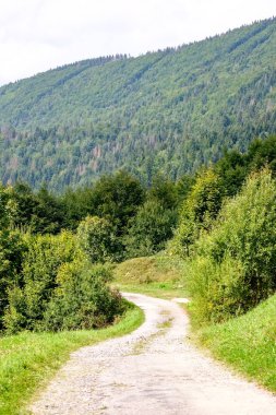 Yaz aylarında köy çakıl yol olarak kırsal orman ağaçları saran ve bulutlar gökyüzünde