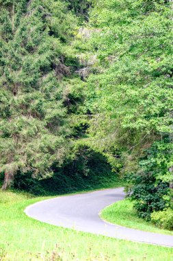 Yaz aylarında köy çakıl yol olarak kırsal orman ağaçları saran ve bulutlar gökyüzünde