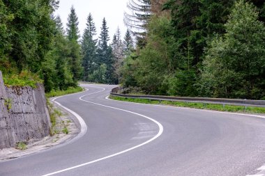 Orman dağlarında kadar önde gelen Asfaltlı yol. Slovakya, dalgalı çizgiler ve perspektif yaz saati