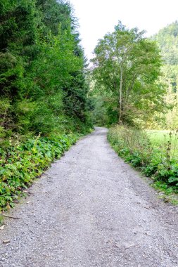 Yaz aylarında köy çakıl yol olarak kırsal orman ağaçları saran ve bulutlar gökyüzünde