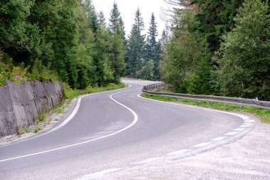 Orman dağlarında kadar önde gelen Asfaltlı yol. Slovakya, dalgalı çizgiler ve perspektif yaz saati