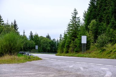 Orman dağlarında kadar önde gelen Asfaltlı yol. Slovakya, dalgalı çizgiler ve perspektif yaz saati