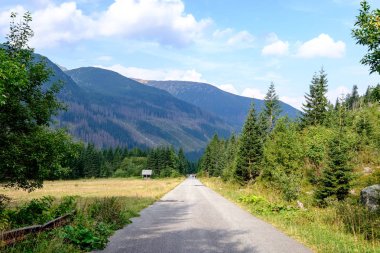 Orman dağlarında kadar önde gelen Asfaltlı yol. Slovakya, dalgalı çizgiler ve perspektif yaz saati