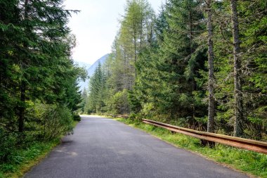 Yaz aylarında köy çakıl yol olarak kırsal orman ağaçları saran ve bulutlar gökyüzünde