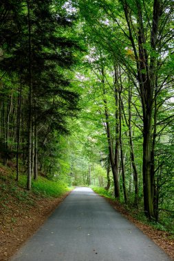 Yaz aylarında köy çakıl yol olarak kırsal orman ağaçları saran ve bulutlar gökyüzünde