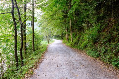 Yaz aylarında köy çakıl yol olarak kırsal orman ağaçları saran ve bulutlar gökyüzünde
