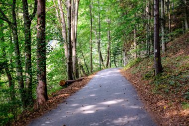 Yaz aylarında köy çakıl yol olarak kırsal orman ağaçları saran ve bulutlar gökyüzünde