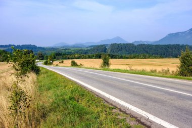 Orman dağlarında kadar önde gelen Asfaltlı yol. Slovakya, dalgalı çizgiler ve perspektif yaz saati