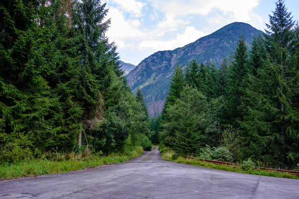 Asphalted Road Leading Mountains Forest Summer Time Slovakia Wavy Lines — Stock Photo, Image