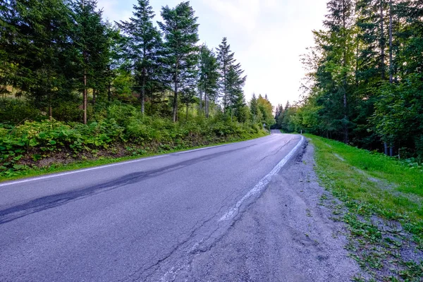 Asphalted Road Leading Mountains Forest Summer Time Slovakia Wavy Lines — Stock Photo, Image