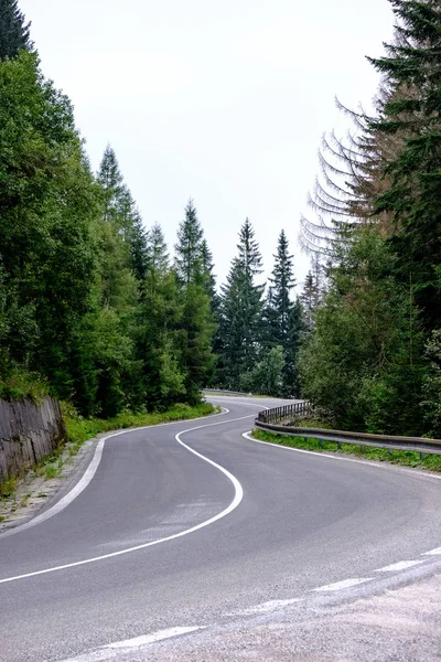 Strada Asfaltata Che Conduce Alle Montagne Nella Foresta Ora Legale — Foto Stock