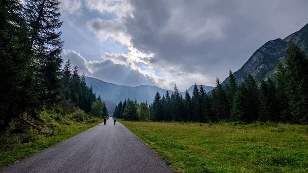 Route Asphaltée Menant Aux Montagnes Forêt Heure Été Slovaquie Lignes — Photo