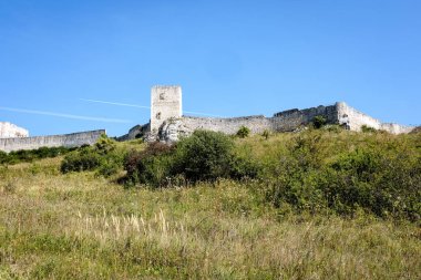 Harabeleri eski uçurumdaki tuğla ve taş castle terk edilmiş. mimari ayrıntılar Slovakya